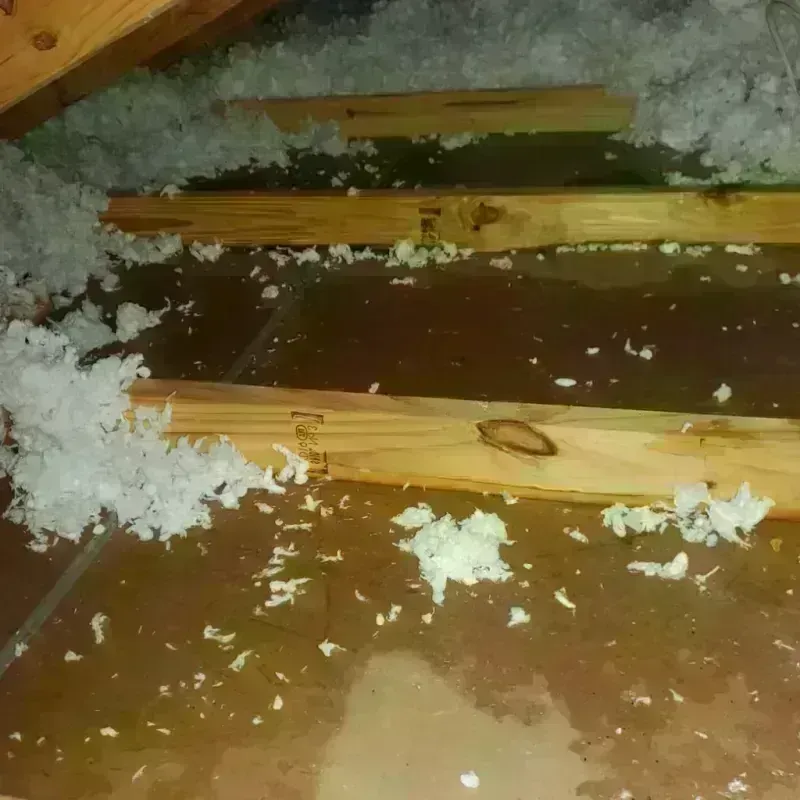 Attic Water Damage in Potsdam, NY